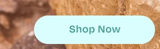 Shop Now Button - Image