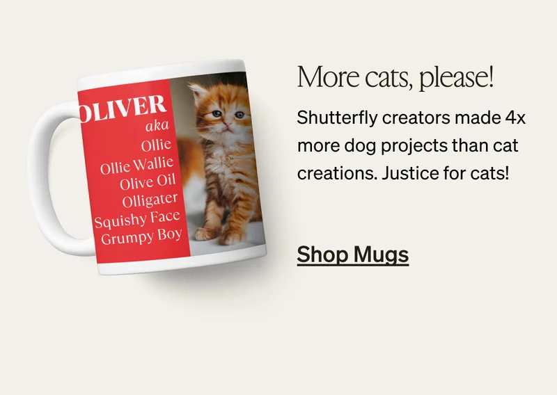 50% off Qualified Orders