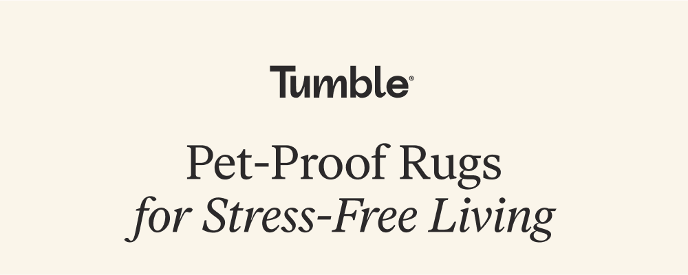 Pet-Proof Rugs for Stress-Free Living