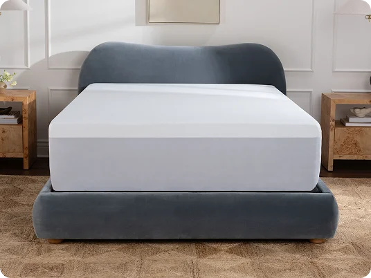 Mattress Protector