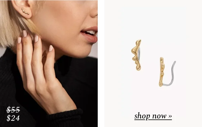 Shop sale for earrings. Was $55, now $24.