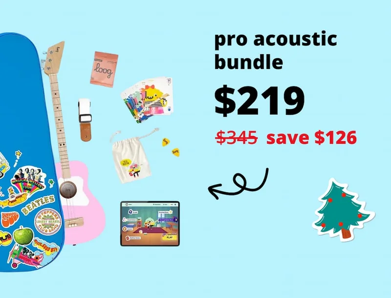 pro acoustic bundle