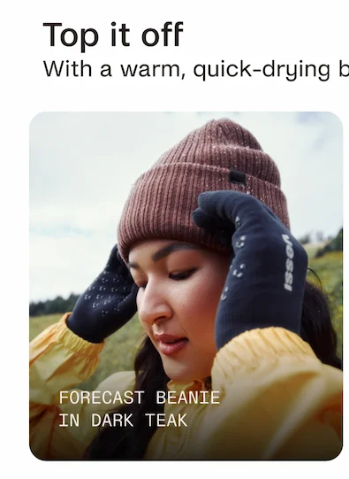 Forecast Beanie in Dark Teak