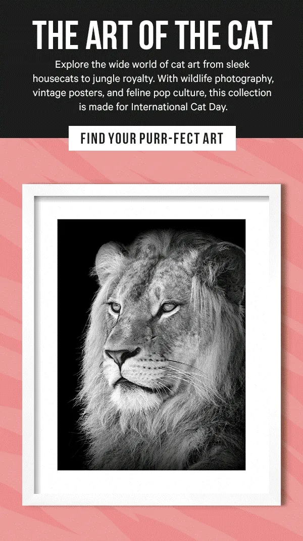 The Art of the Cat: Explore the wide world of cat art from sleek housecats to jungle royalty. With wildlife photography, vintage posters, and feline pop culture, this collection is made for International Cat Day.
