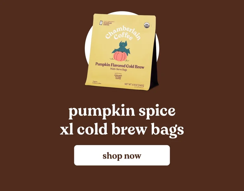 pumpkin spice xl cold brew bags
