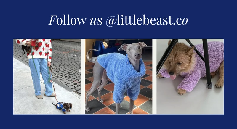 Follow us on Instagram