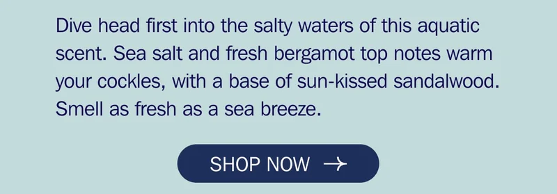 The British Seaside Collection