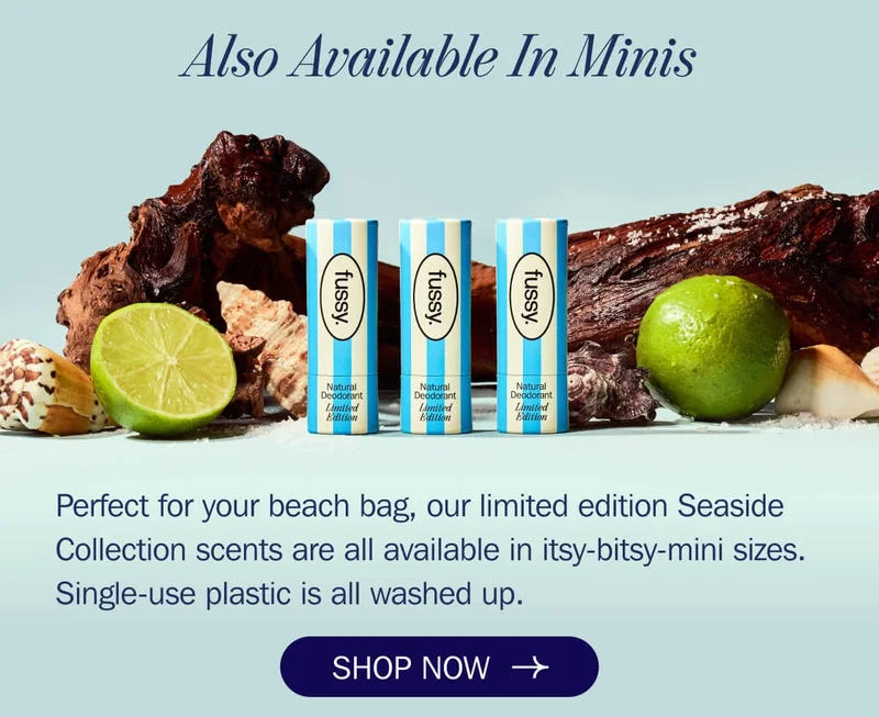 The British Seaside Collection