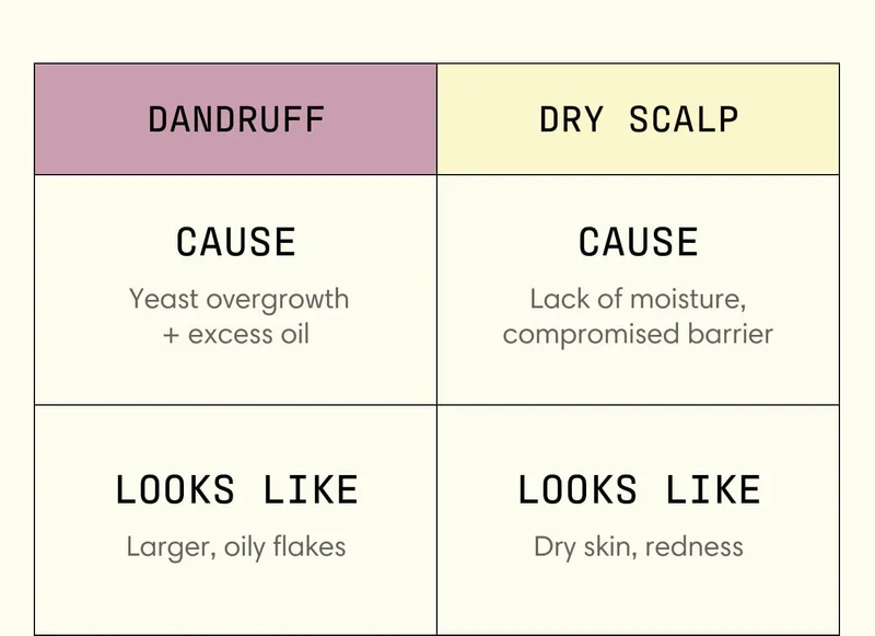Dandruff Dry Scalp Cause: Yeast overgrowth + excess oil Cause: Lack of moisture, compromised barrier Looks like: Larger, oily flakes Looks like: Dry skin, reddness