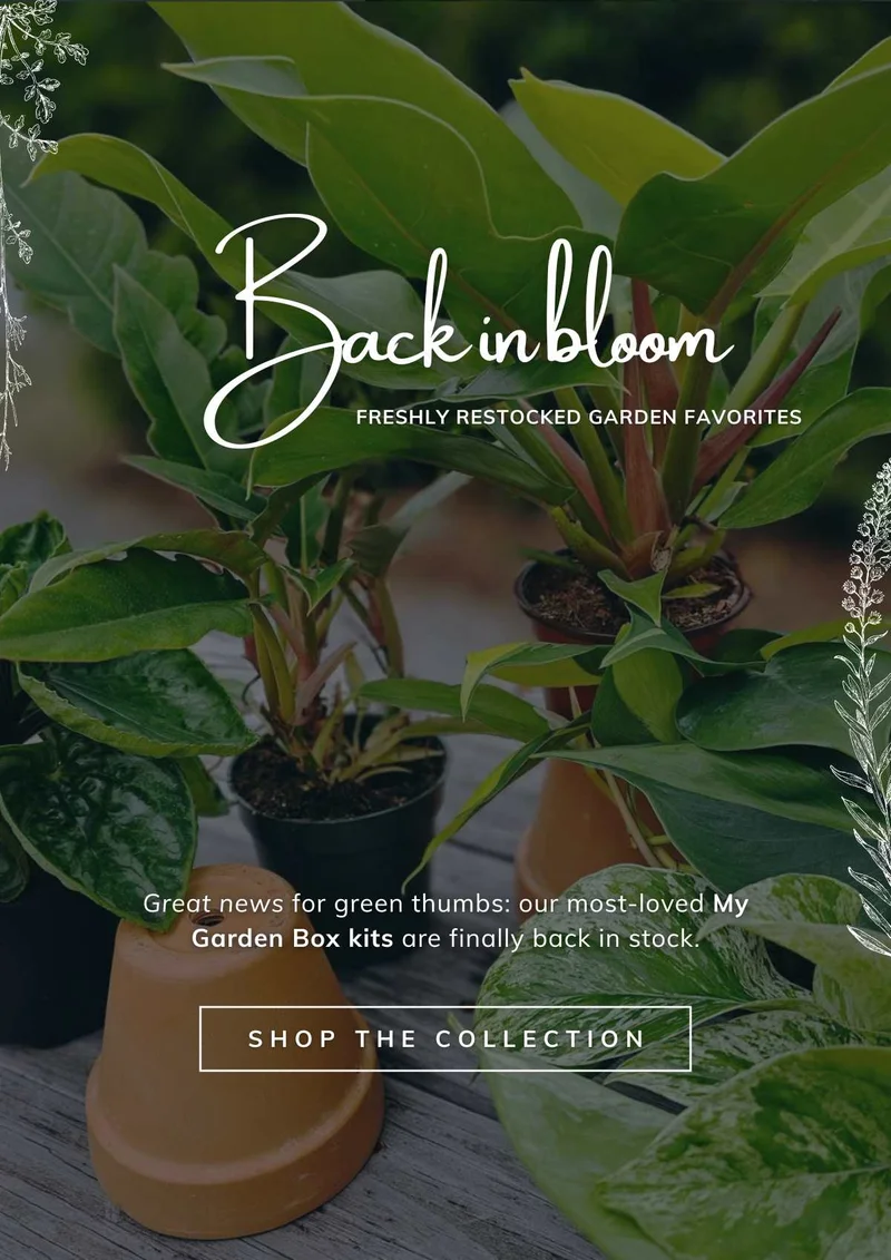 Shop My Garden Box