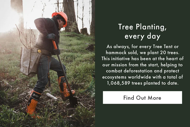 Tree Planting, every day