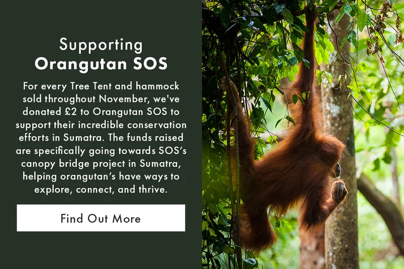 Orangutan SOS