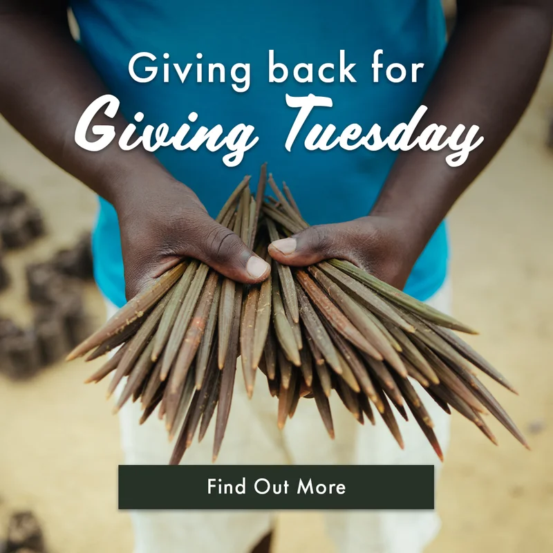 Giving Tuesday 2024