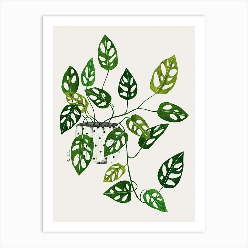 Image of Monstera Obliqua Plant Living Room Art print