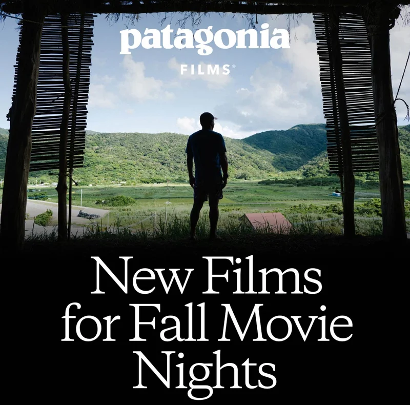 New Films for Fall Movie Nights