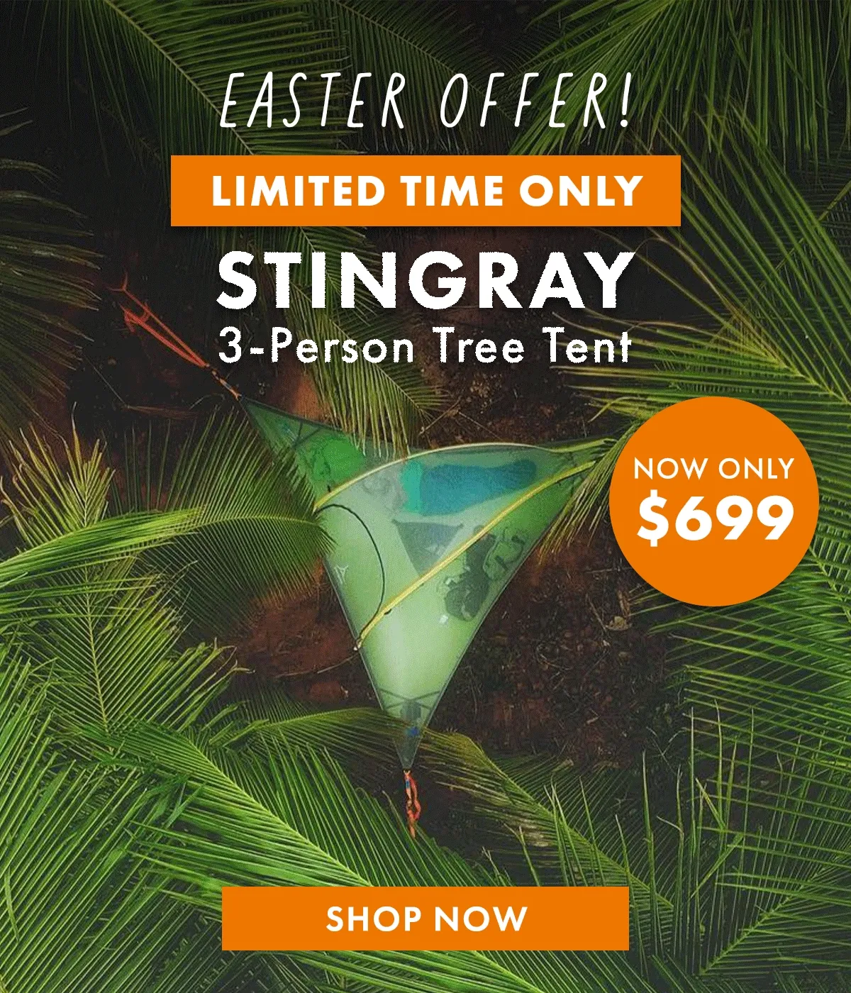 Stingray Only $699