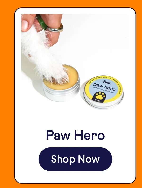 Paw Hero | Shop Now