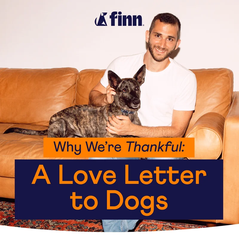 Why We're Thankful: A Love Letter to Dogs