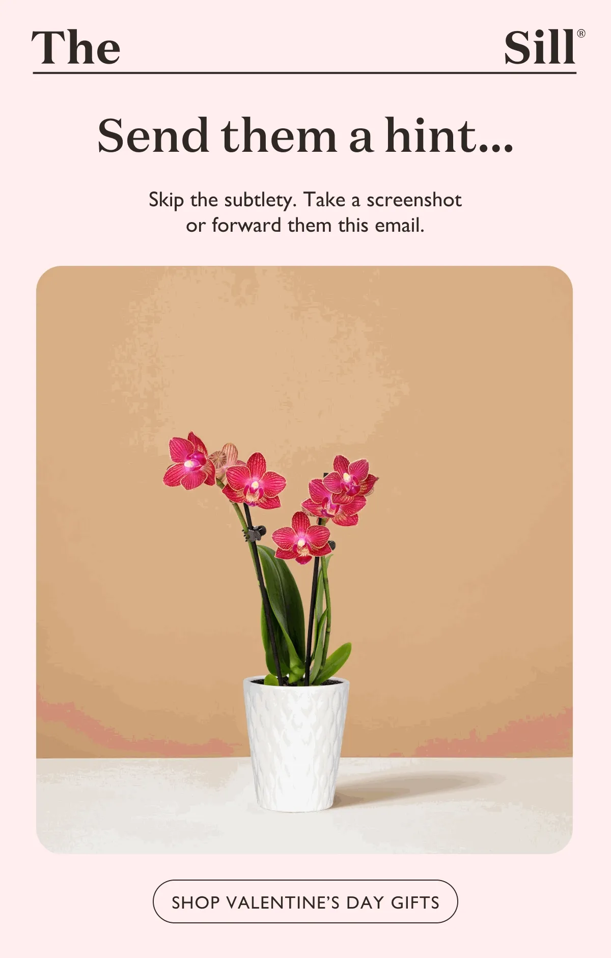 Skip the subtlety and send them a hint. Take a screenshot or forward them this email.