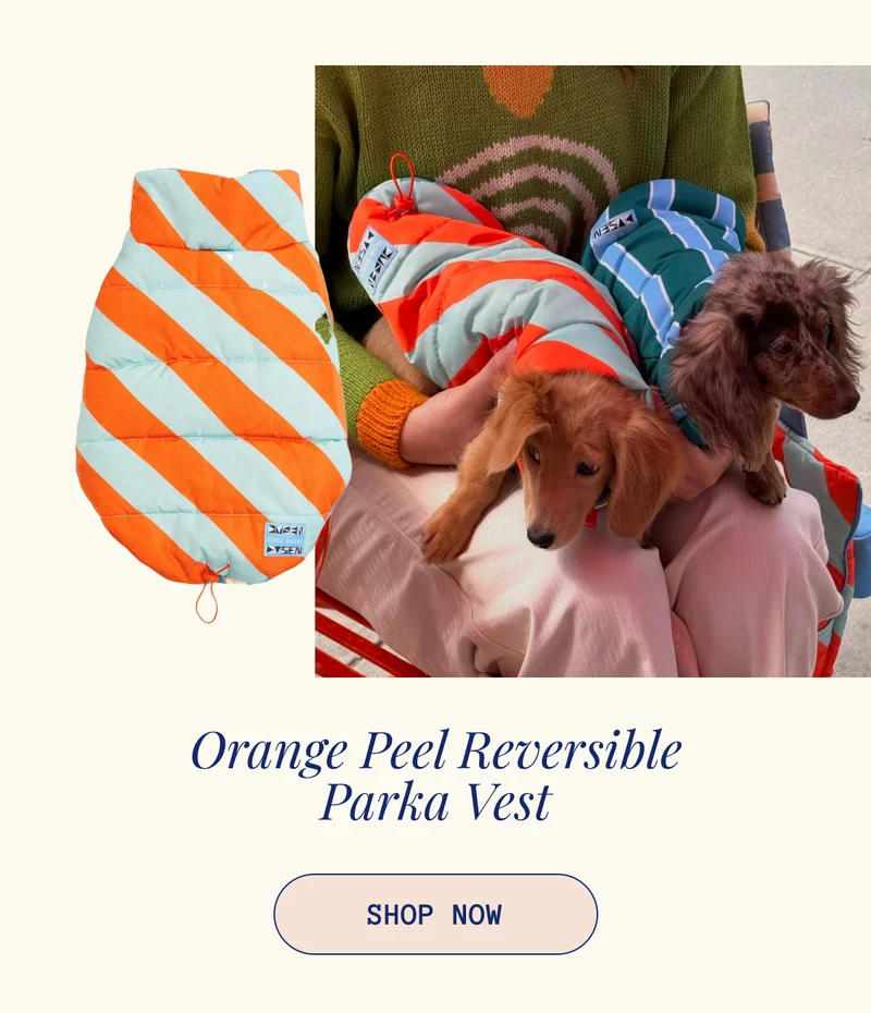 The Orange Peel Parka Vest x Dusen Dusen