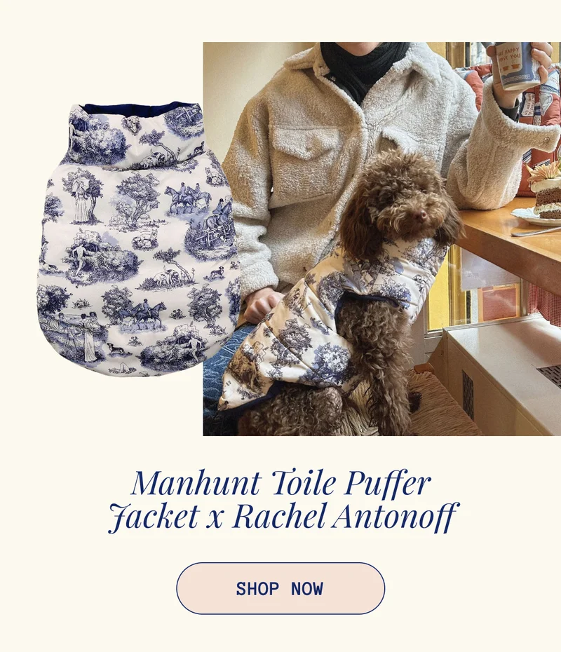 Manhunt Toile Puffer Jacket x Rachel Antonoff