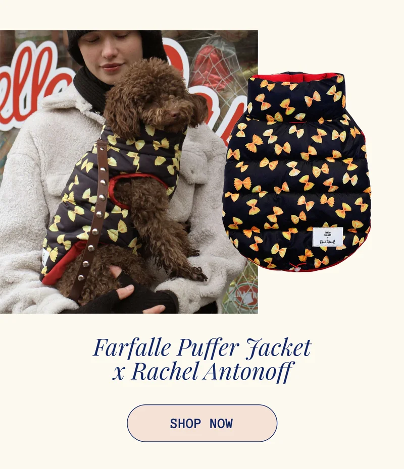 Farfalle Puffer Jacket x Rachel Antonoff
