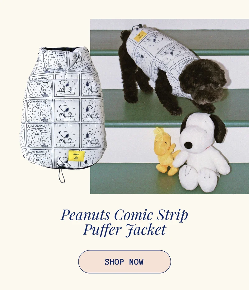 Peanuts Comic Strip Puffer Jacket