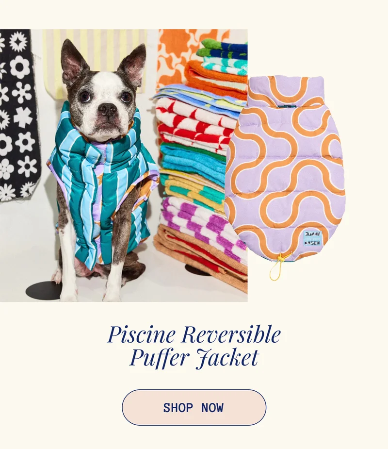 The Piscine Puffer Jacket x Dusen Dusen