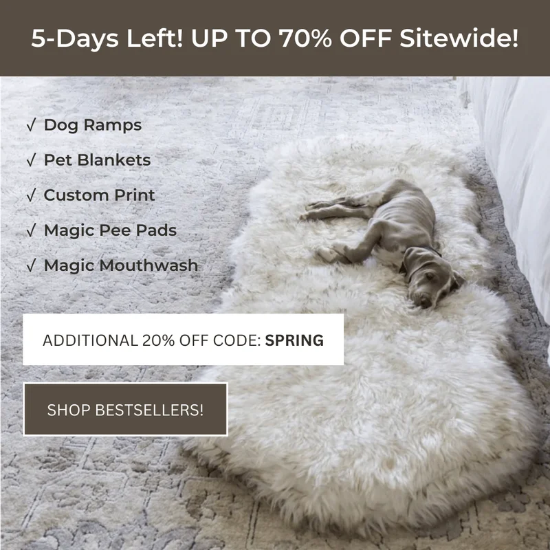 spring sale