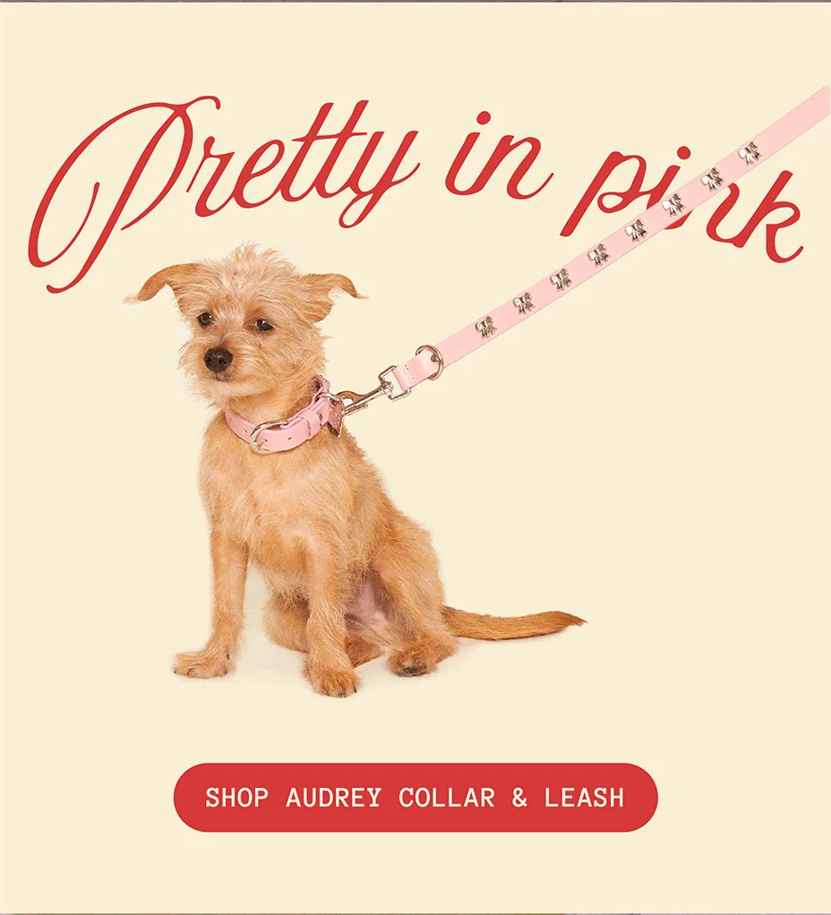 SHOP AUDREY COLLAR AND LEASH