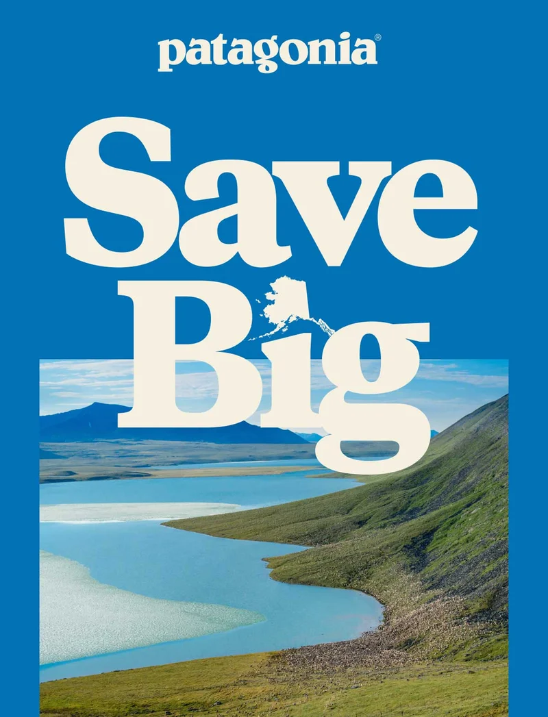 Save Big. A large caribou herd gathers alongside a lake in the Arctic National Wildlife Refuge.