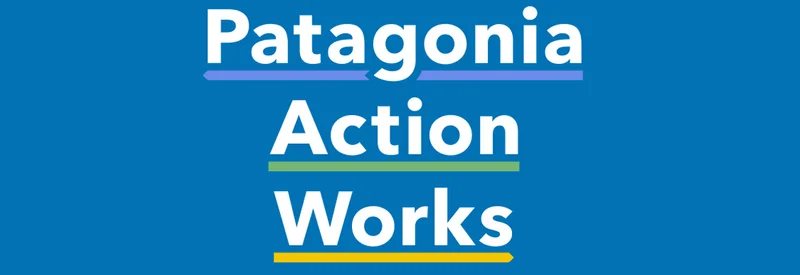 Patagonia Action Works