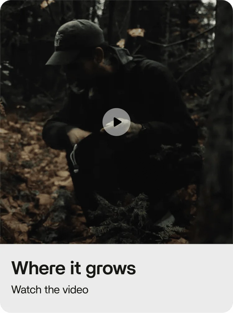 Where it grows: watch the video