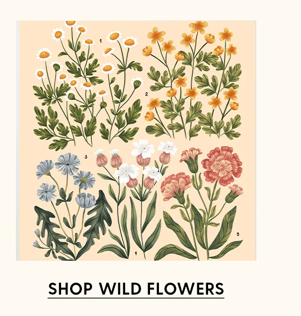 Shop Wild Flowers