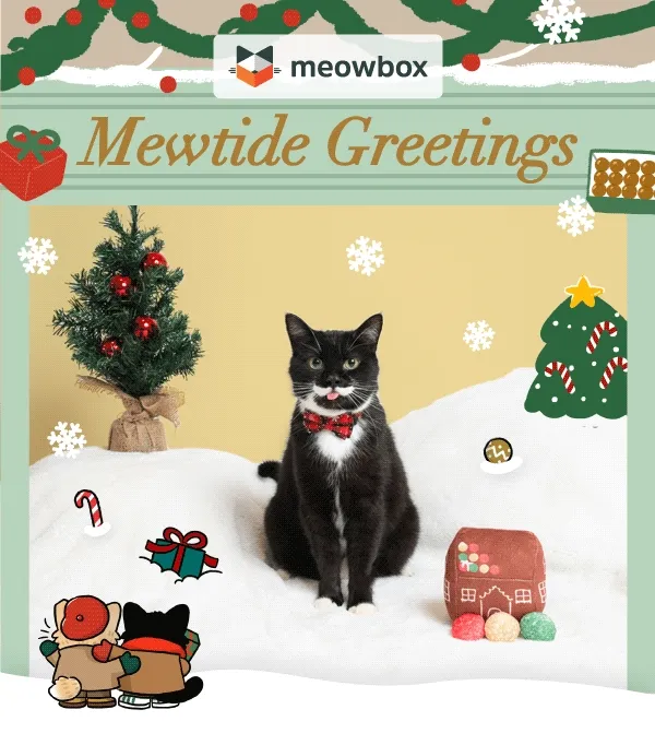 Mewtide Greetings! Image of a black and white cat with a Holiday bowtie inside a snow covered shop window, with the Catmas Confections Multi-pack cat toy in front of him.