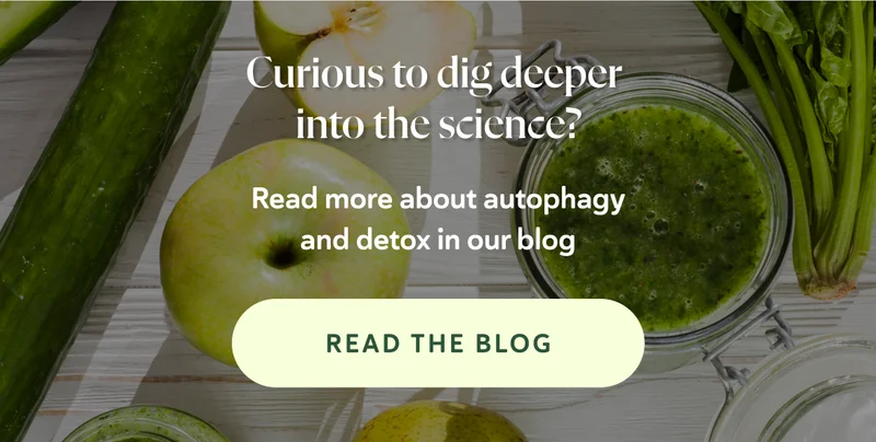 Curious to dig deeper into the science? 👉 Read more about autophagy and detox in our blog.
