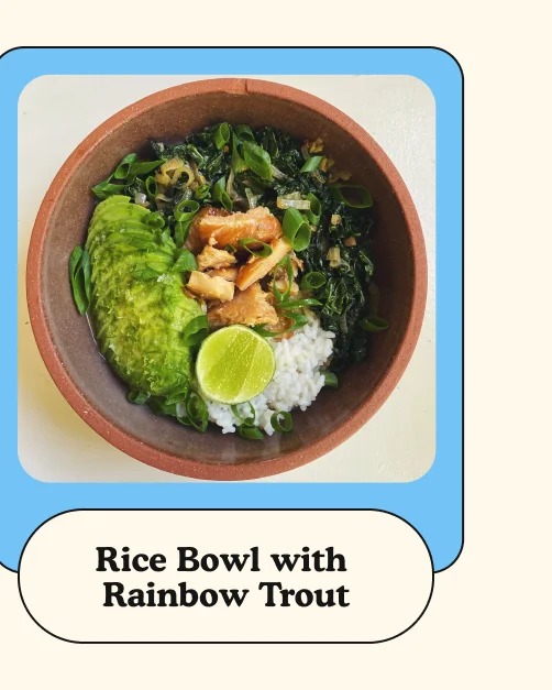 rice bowl