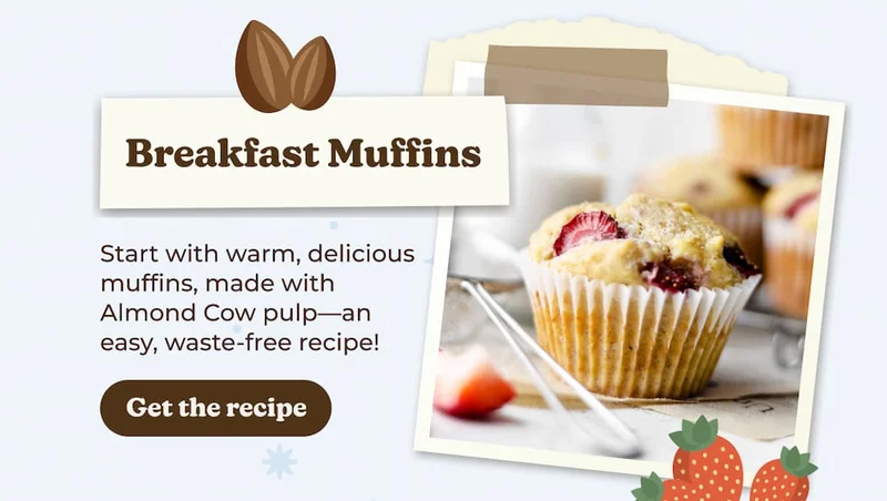 Breakfast Muffins Recipe