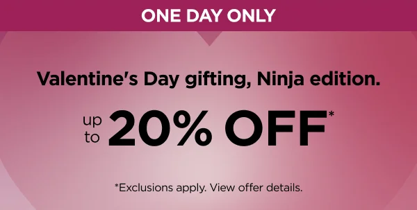One day only--Valentine's Day gifting, Ninja edition. Up to 20% off.