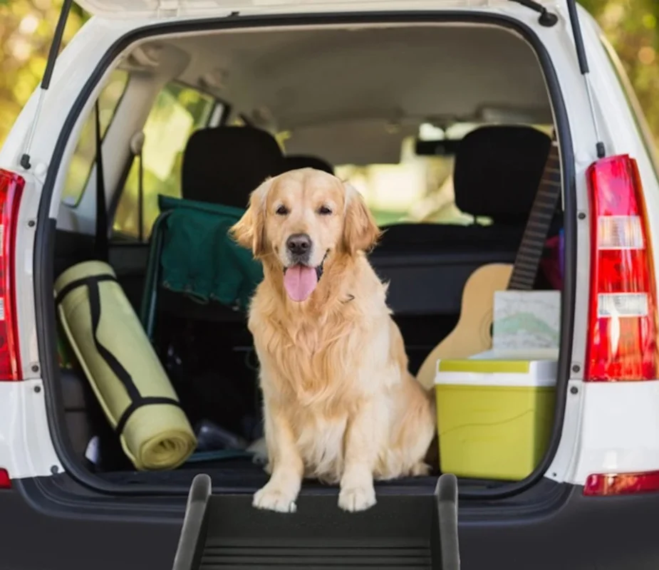 Portable Folding Dog Car Ramp