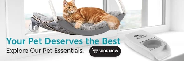 Your Pet Deserves the Best: Explore Our Pet Essentials! Shop Now