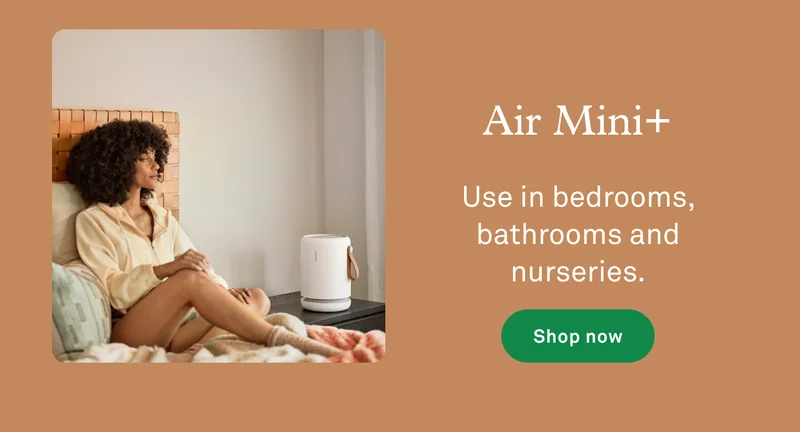 Air Mini+