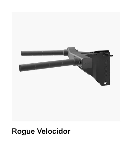 Rogue Velocidor