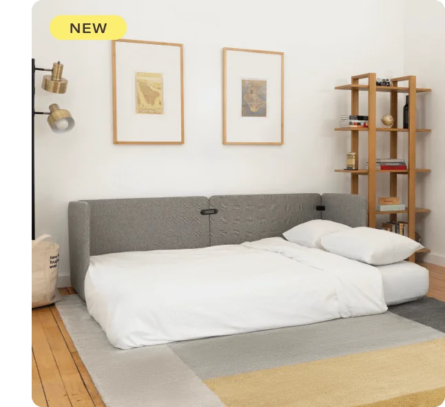 Sleeper Sofa