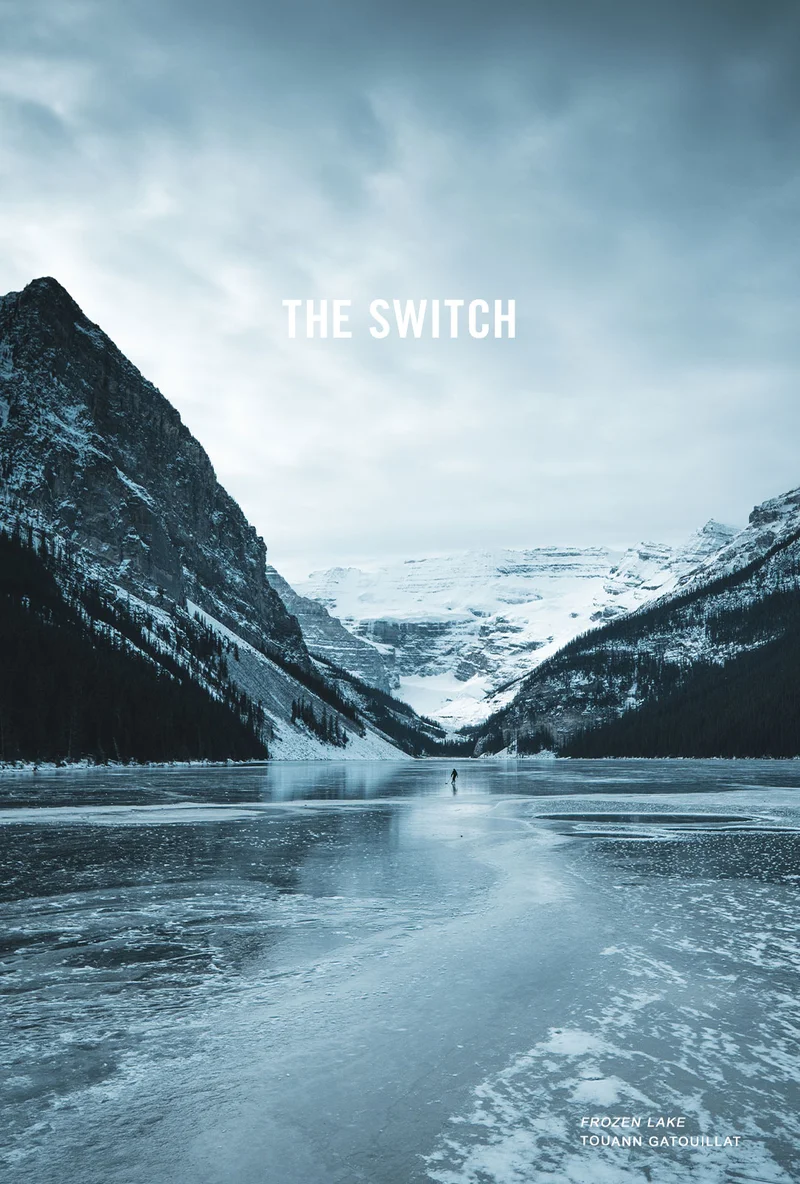 THE SWITCH