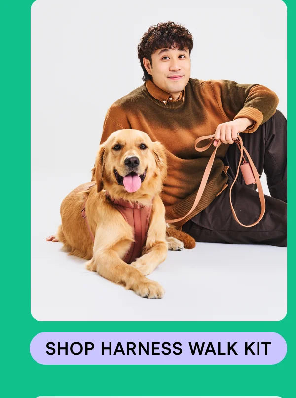 Shop Harness Walk Kit