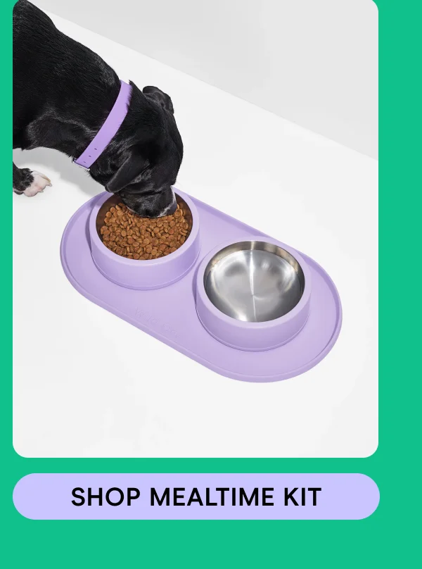 Shop Mealtime Kit