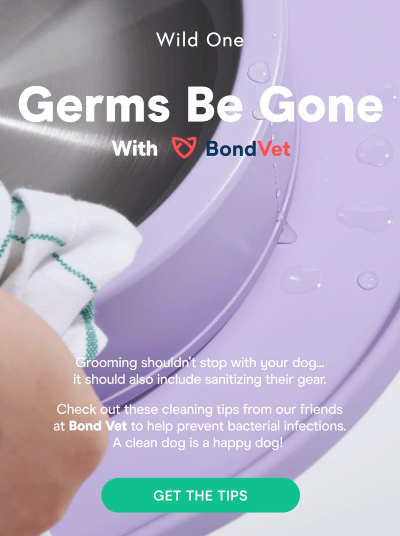 Grooming shouldn’t stop with your dog... it should also include sanitizing their gear. Check out these cleaning tips from our friends at Bond Vet to help prevent bacterial infections. A clean dog is a happy dog!&nbsp;Get The Tips