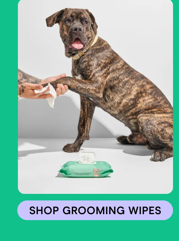 Shop Grooming Wipes