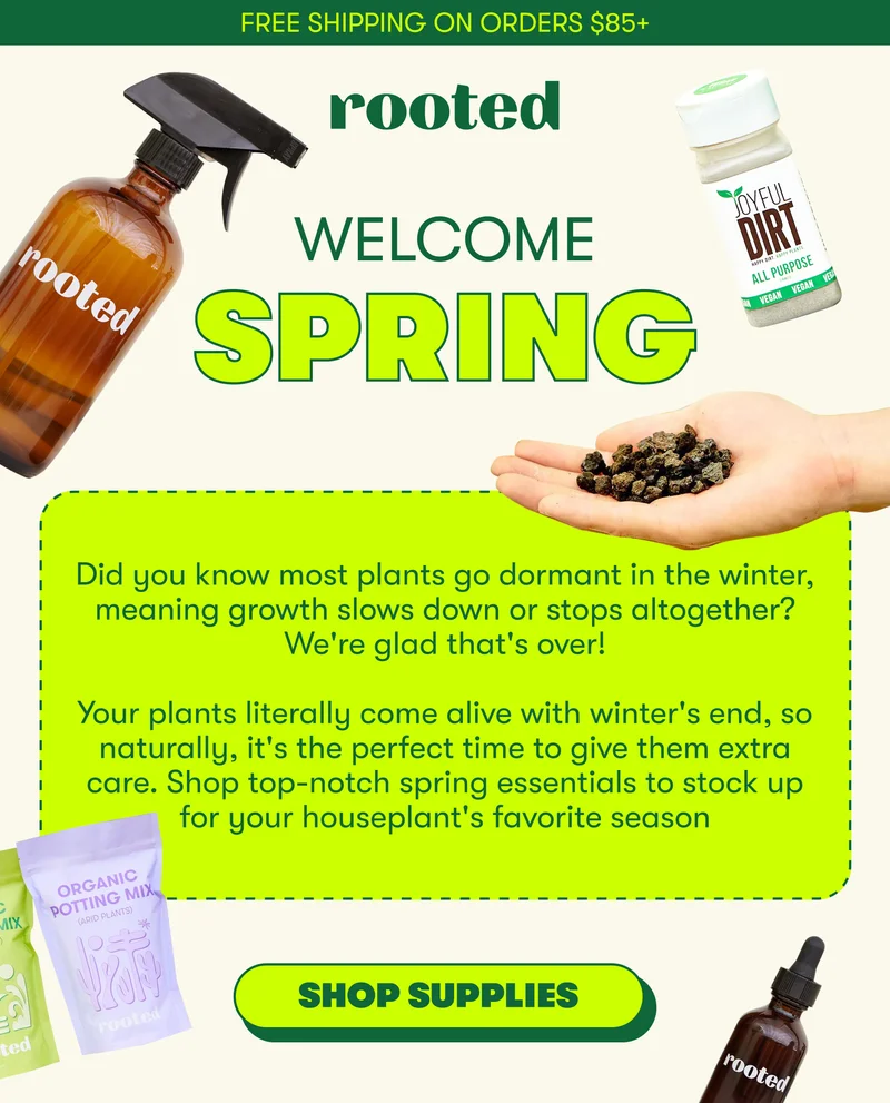 Free shipping on orders $85+! WELCOME SPRING Did you know most plants go dormant in the winter, meaning growth slows down or stops altogether? We're glad that's over! Your plants literally come alive with winter's end, so naturally, it's the perfect time to give them extra care. Shop top-notch spring essentials to stock up for your houseplant's favorite season SHOP SUPPLIES